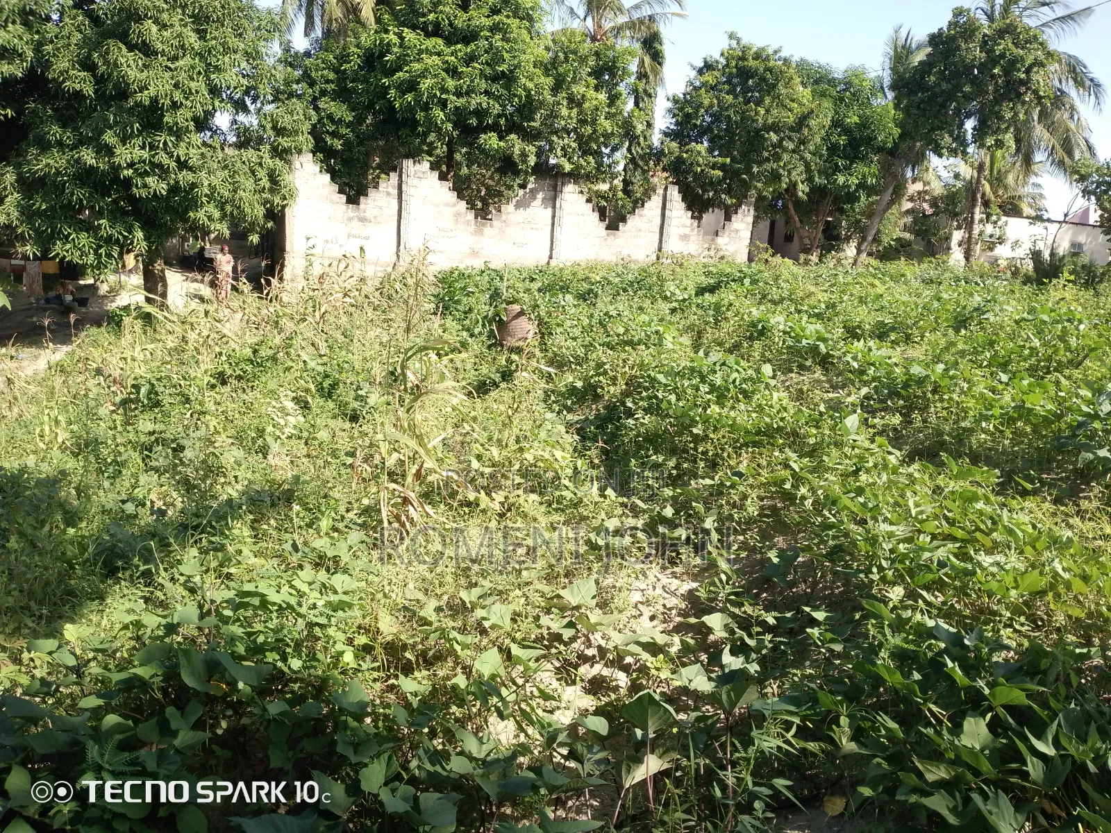 Kiwanja Mita 25 Kwa Mita 15, Kinauzwa Milioni 8.5 Ukonga Bombambili.