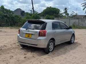 Toyota Corolla RunX 2006 Silver