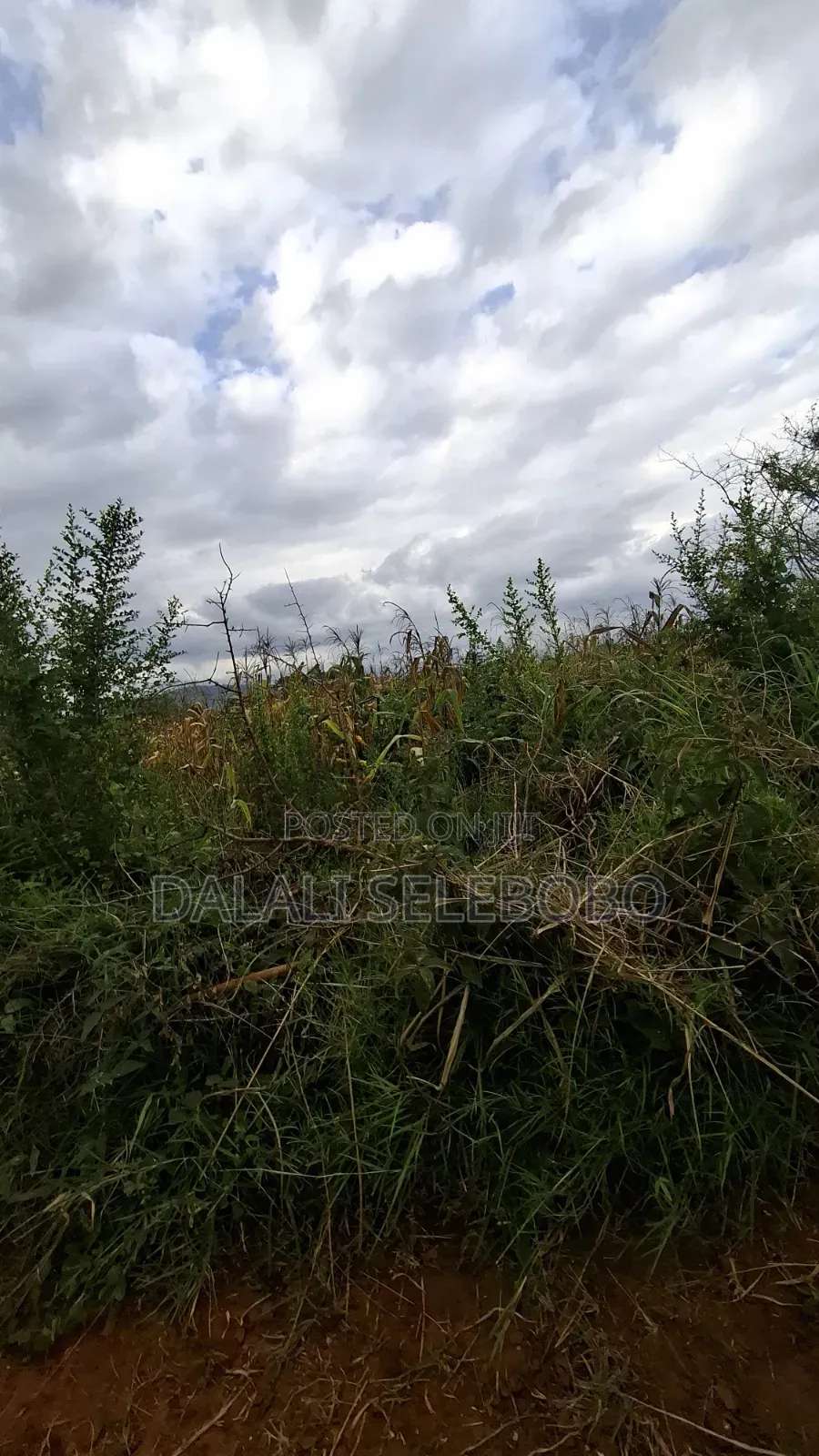 Plot 4 Gold Mine at Chunya Hector 7 Investment Area