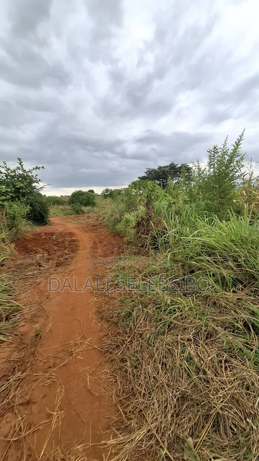 Plot 4 Gold Mine at Chunya Hector 7 Investment Area