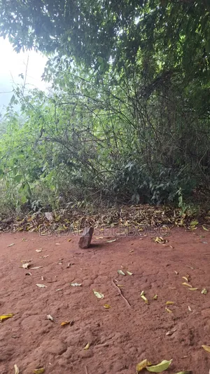 Plot 4 Gold Mine at Chunya Hector 7 Investment Area