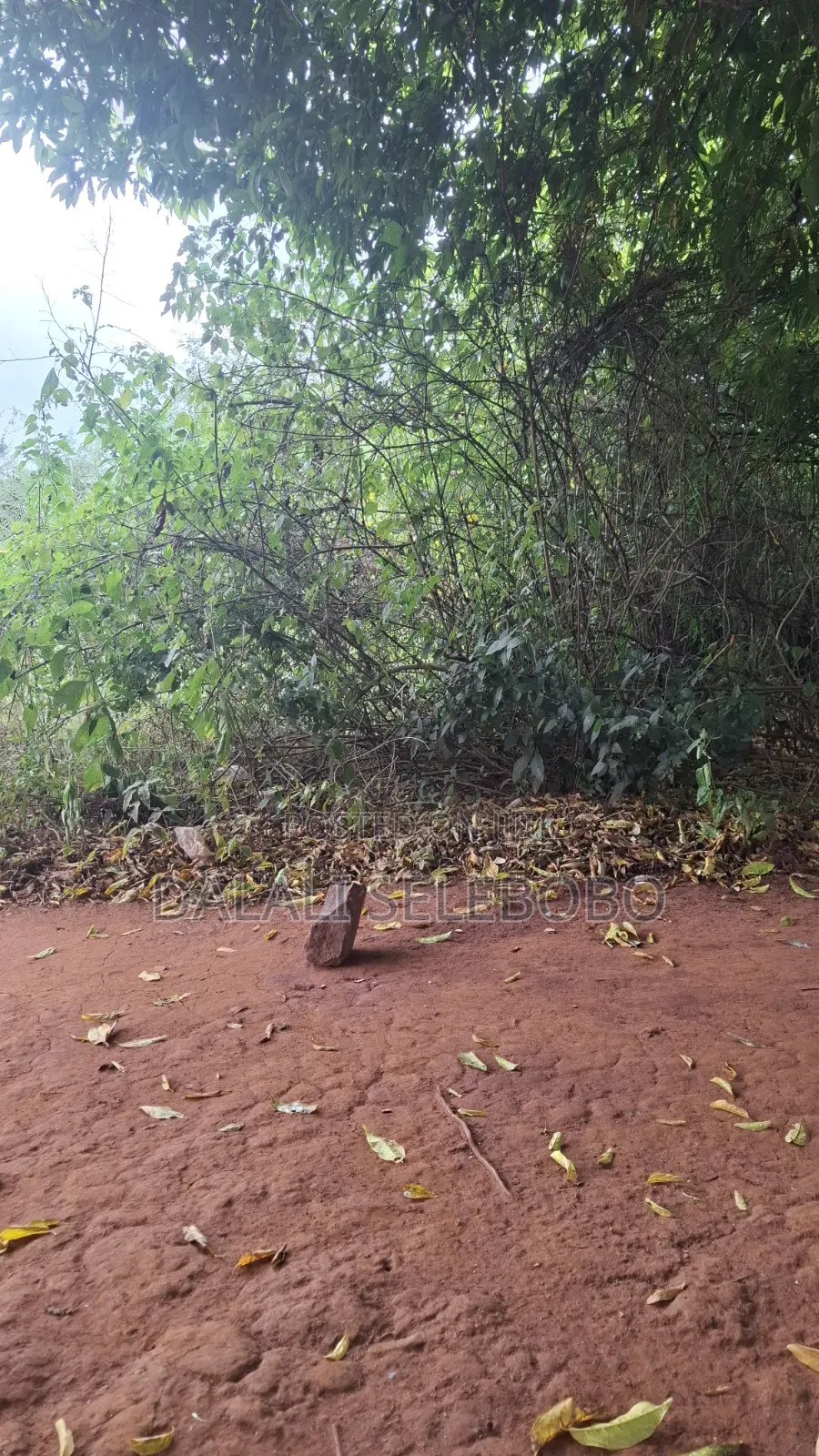 Plot 4 Gold Mine at Chunya Hector 7 Investment Area