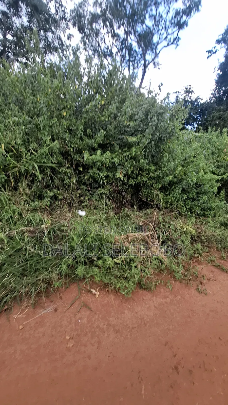 Plot 4 Gold Mine at Chunya Hector 7 Investment Area