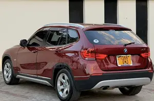 BMW X1 2010 Red