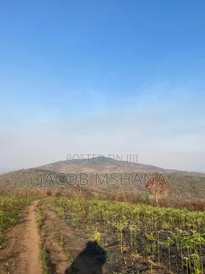 Shamba Linauzwa Ekari 1000
