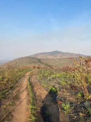 Shamba Linauzwa Ekari 1000