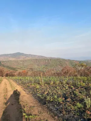 Shamba Linauzwa Ekari 1000