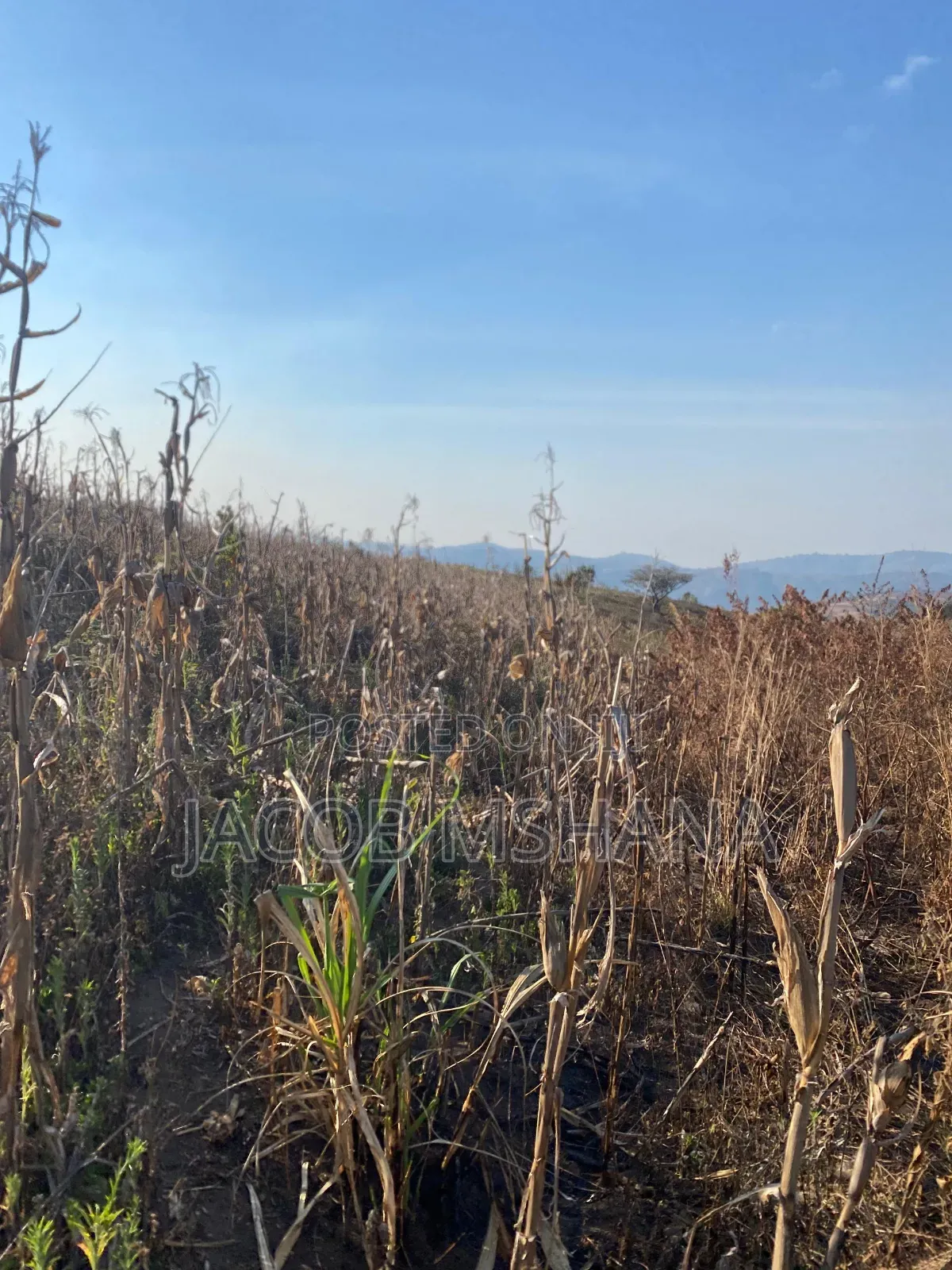 Shamba Linauzwa Lipo Wilaya Ya Kilolo