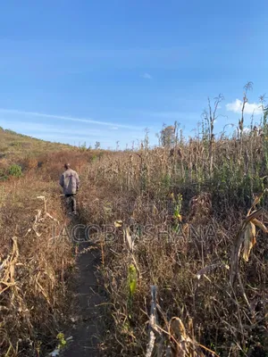 Shamba Linauzwa Lipo Wilaya Ya Kilolo