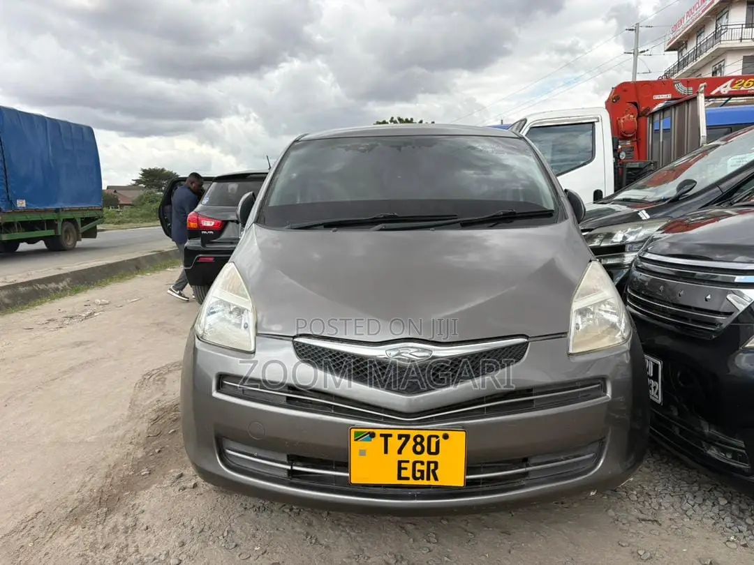 Toyota Ractis 2007 Gray