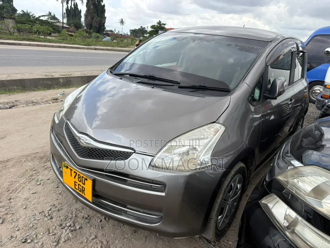 Toyota Ractis 2007 Gray