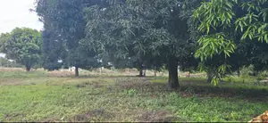 Kiwanja Msijute 1.2 Acres