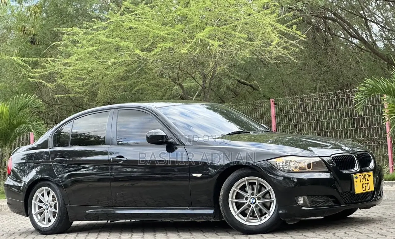 BMW 3 Series 320i RWD 2010 Black
