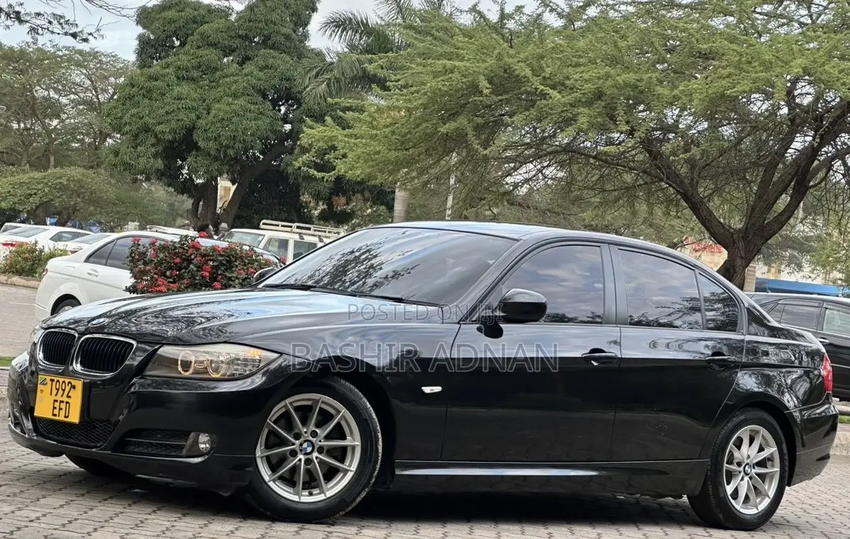 BMW 3 Series 320i RWD 2010 Black