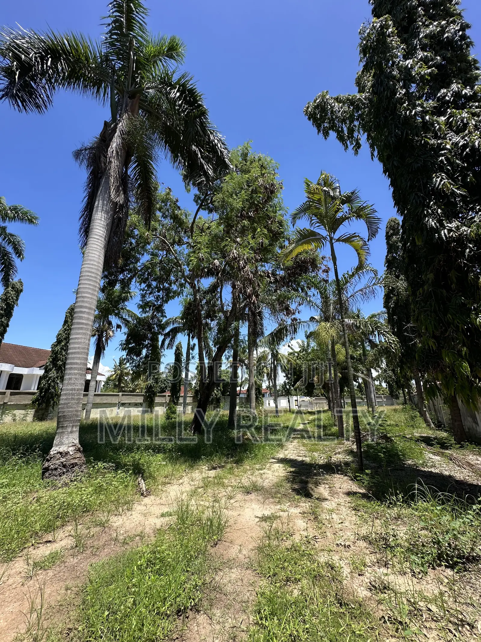3rd Beach Plot for Sale Mbezi Beach Kwa Zena