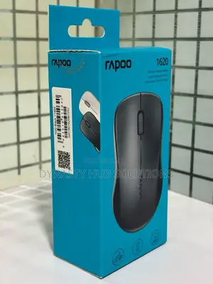 Rapoo 1620 Wireless Black Mouse