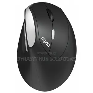 Rapoo Ev250 Silent Wireless Mouse
