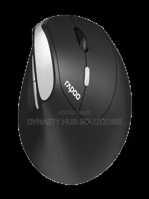 Rapoo Ev250 Silent Wireless Mouse