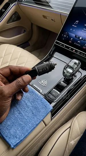 Standard Mini Car Charger