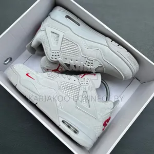 Air Jordan 4 Special Edition
