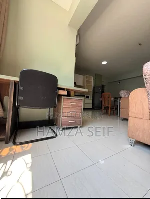 Furnished 2bdrm House in Kariakoo for rent