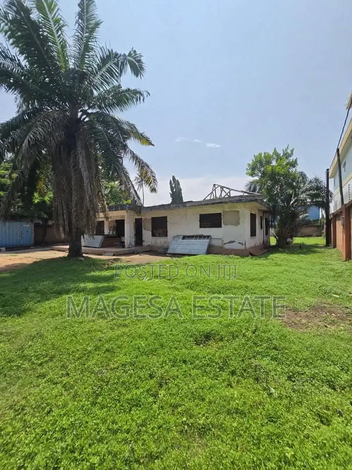 Land for Sale in Mbweni