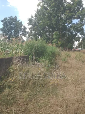 6200 SQMS Plot for Sale at Njiro