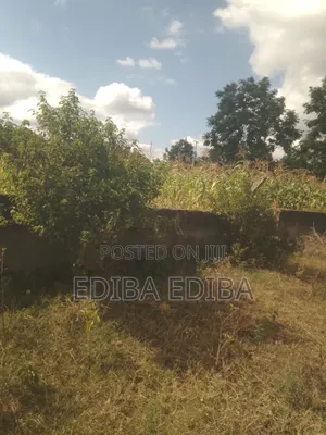6200 SQMS Plot for Sale at Njiro