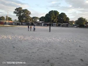 Eneo La Kibiashara Sqmita 3063 Linauzwa Milioni 650 Pugu Kigogo.