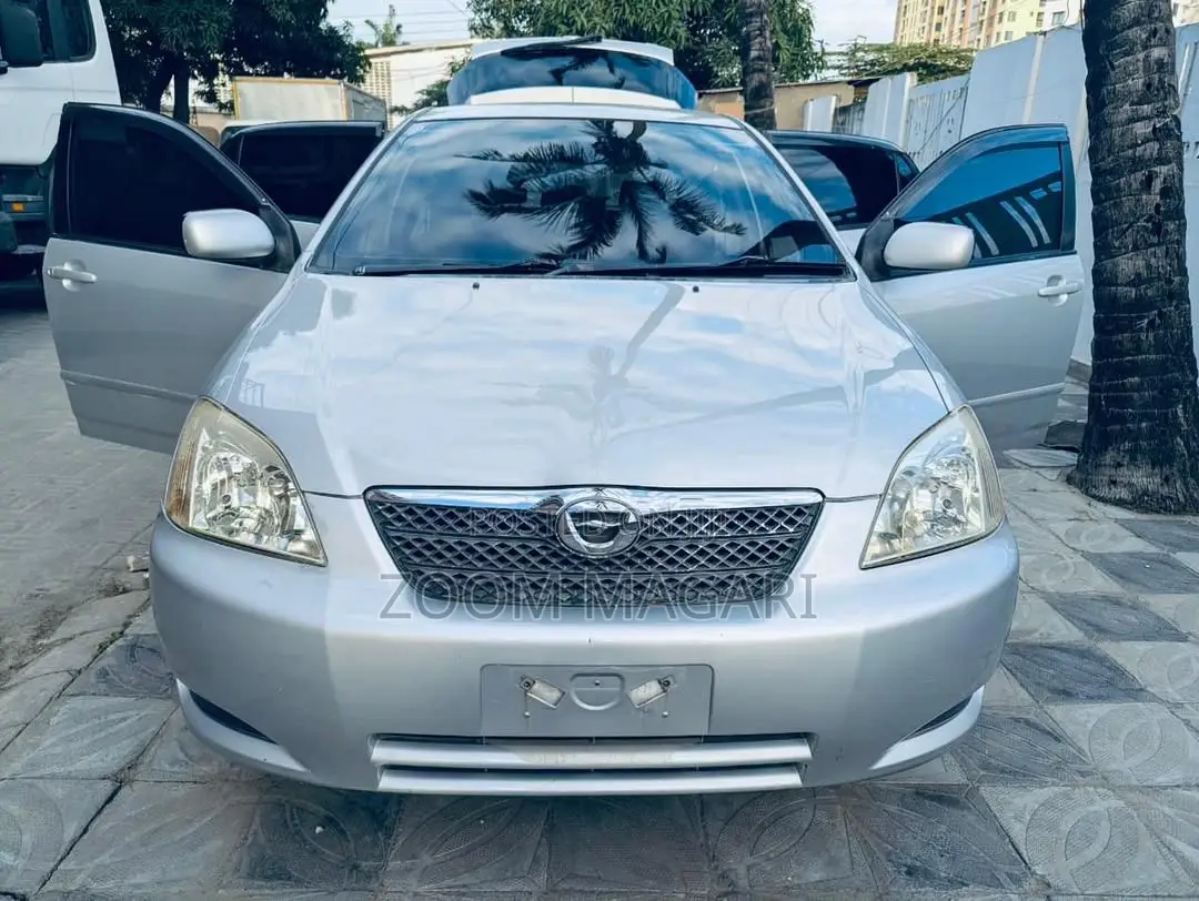 Toyota Corolla RunX 2004 Silver