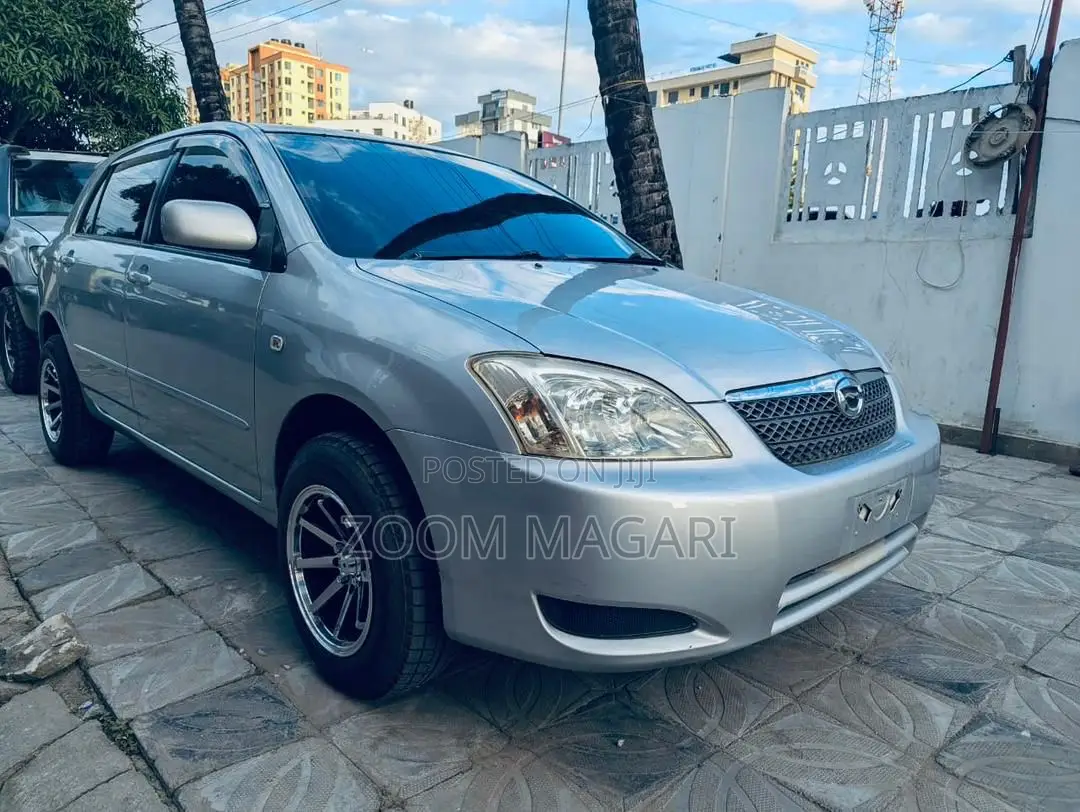 Toyota Corolla RunX 2004 Silver