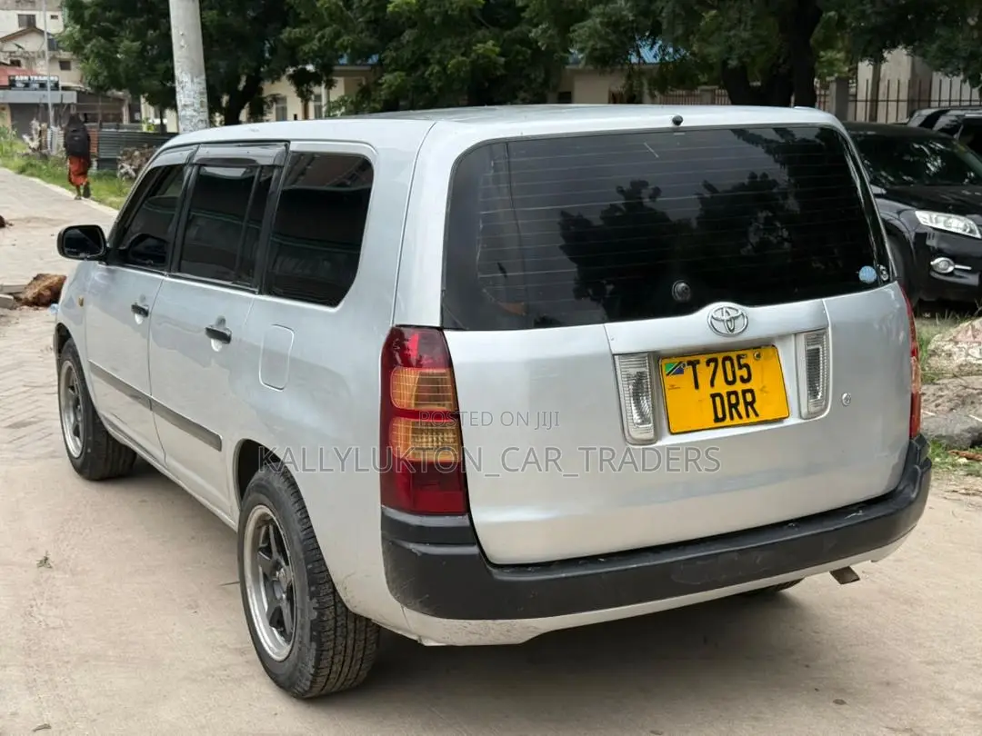 Toyota Probox 2006 Silver