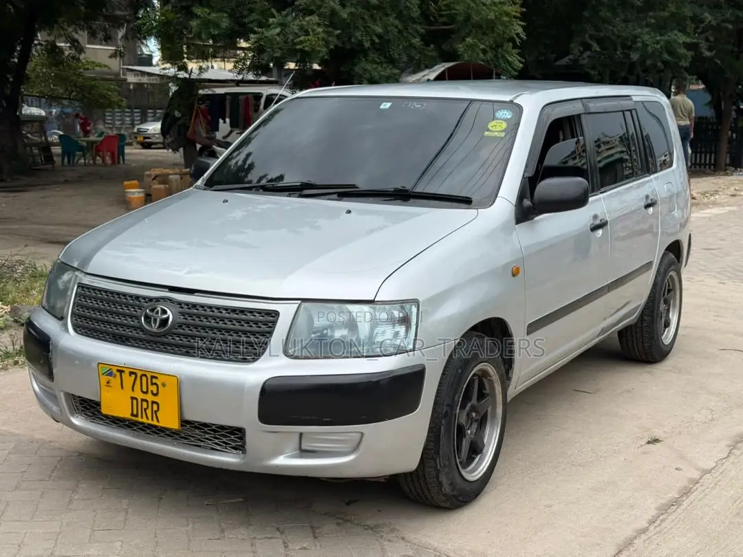 Toyota Probox 2006 Silver