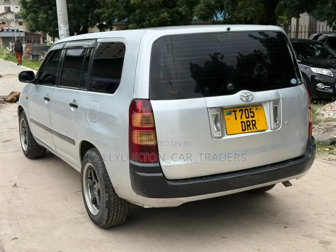 Toyota Probox 2006 Silver