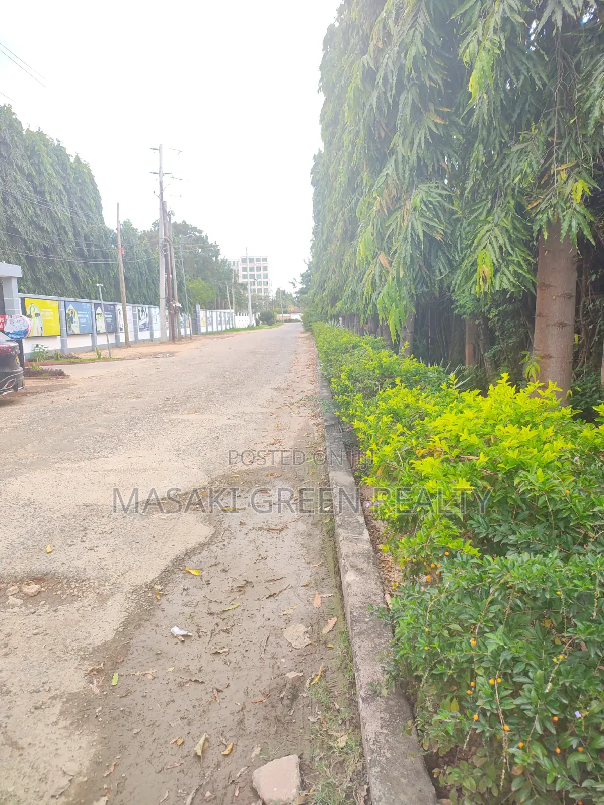 Plot for Sale Oysterbay Guinea Rd