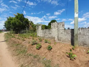 Kiwanja Kinauzwa Kigamboni Kibada