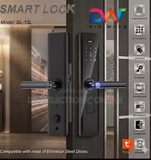Digiwave Smart Lock With Camera Face Lock System at 420,000