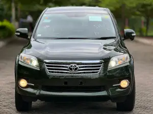 Toyota Vanguard 2010 Green