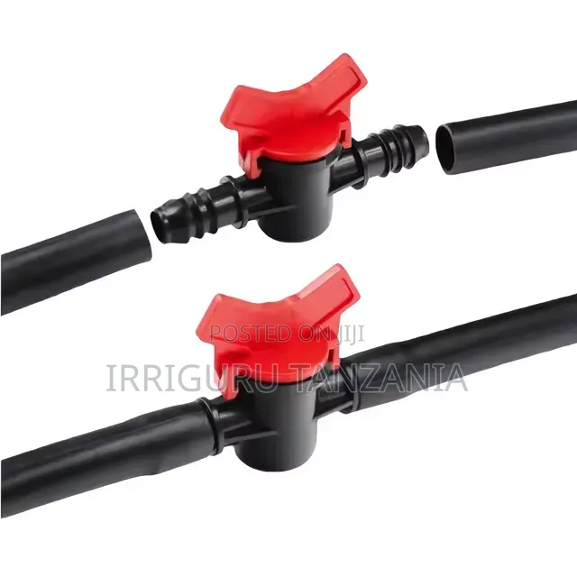 Blind Minvalve