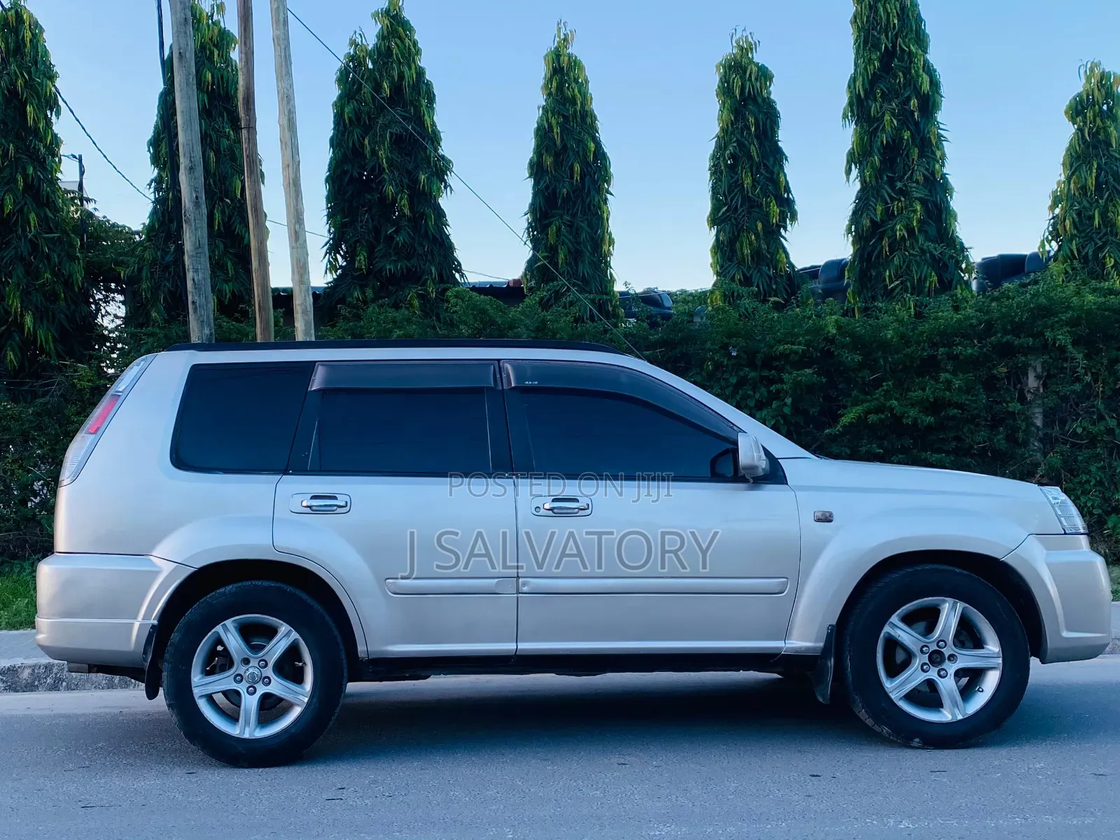 Nissan X-Trail 2005 Gold