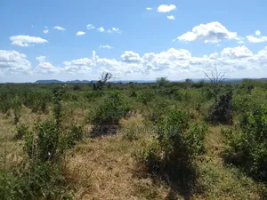 Shamba Eka 200 Linauzwa Mkata Handeni Tanga