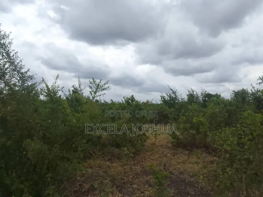 Shamba Eka 200 Linauzwa Mkata Handeni Tanga
