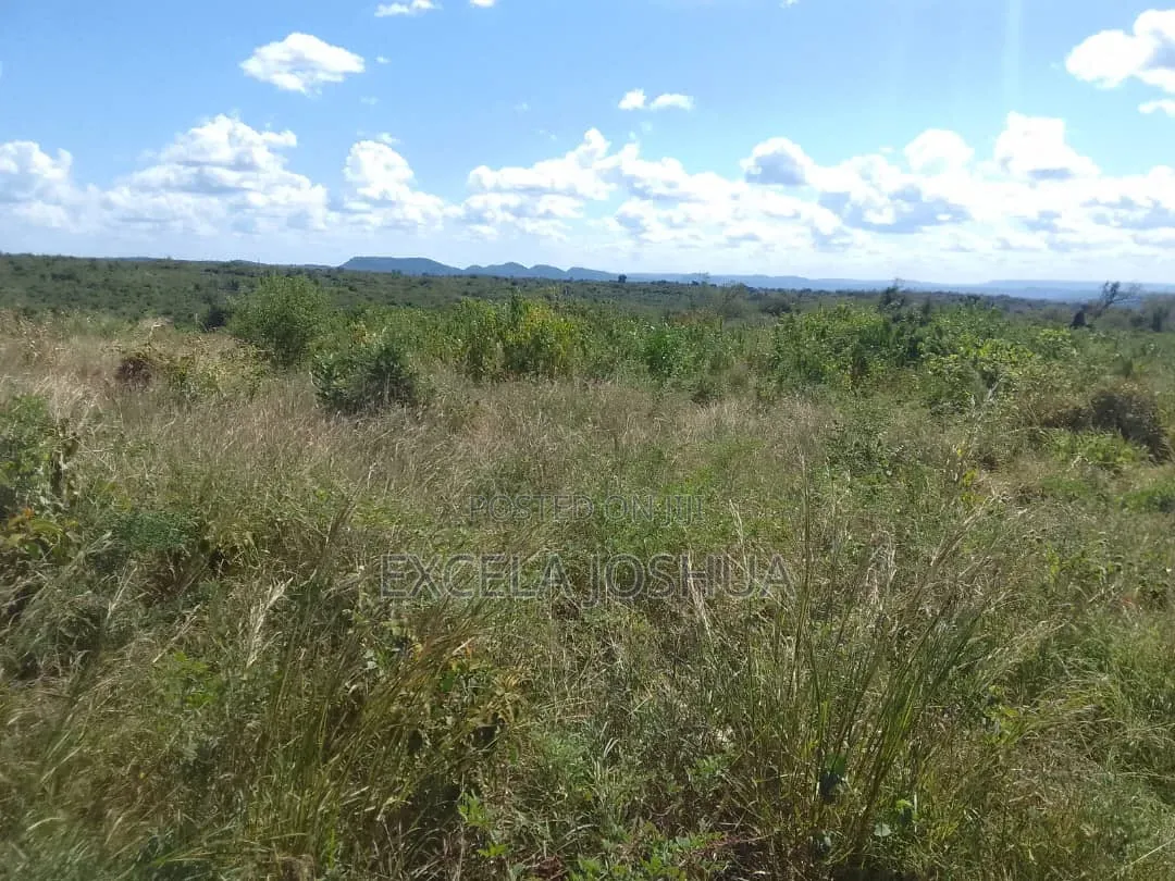 Shamba Eka 200 Linauzwa Mkata Handeni Tanga