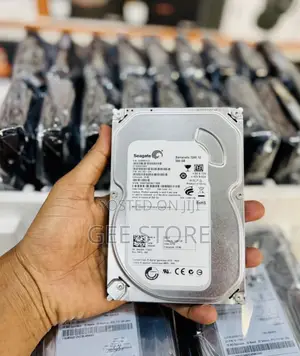 Seagate Camera Disk 500gb