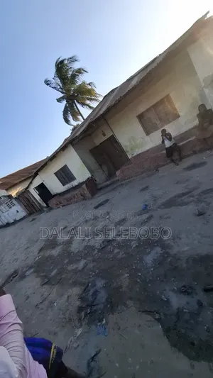 Better Investment Area at Makumbusho