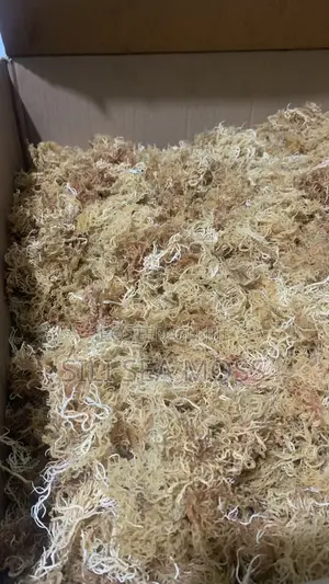 Sea Moss