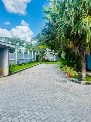 3bdrm House in Mikocheni for rent