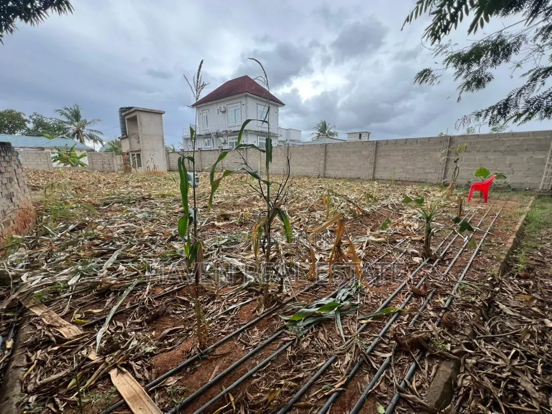 Eneo La Uwekezaji 1 Acre Linauzwa Kibada Shangwe