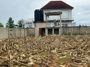 Eneo La Uwekezaji 1 Acre Linauzwa Kibada Shangwe