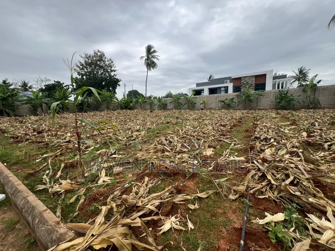 Eneo La Uwekezaji 1 Acre Linauzwa Kibada Shangwe